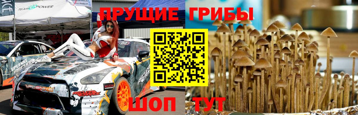 Галлюциногенные грибы ЛСД Сосновоборск