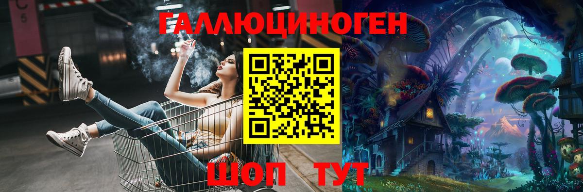 Сосновоборск  Галлюциногенные грибы Psilocybine cubensis  Вход с VPN 